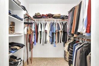 3506 Paluxy Cir in Missouri City, TX - Building Photo - Building Photo