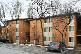 5817 Oakwood Dr in Lisle, IL - Foto de edificio - Building Photo
