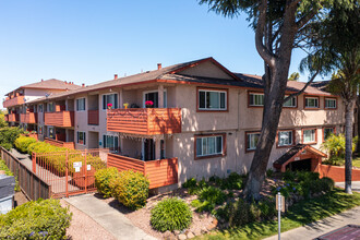 The Californian Apartments in Mountain View, CA - Building Photo - Building Photo