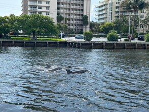 2900 NE 14th St in Pompano Beach, FL - Building Photo - Building Photo