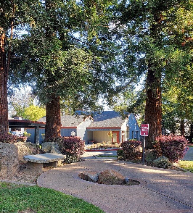 Sunrise Wood Apartments in Citrus Heights, CA - Foto de edificio