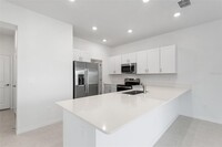 17775 Tawny Malt Pl in Land O Lakes, FL - Foto de edificio - Building Photo