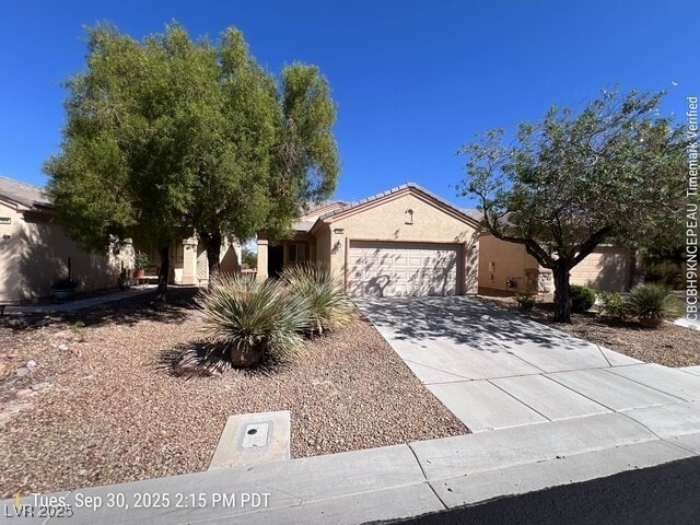 7580 Lily Trotter St