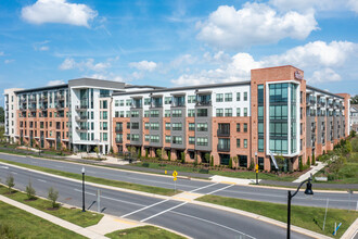 The Shirley in Odenton, MD - Foto de edificio - Building Photo