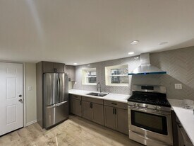 1305 N Austin Blvd in Chicago, IL - Building Photo