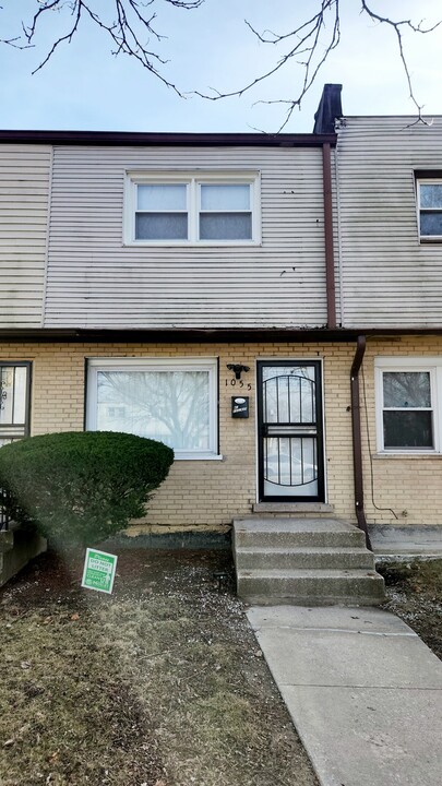1055 W 87th St in Chicago, IL - Building Photo