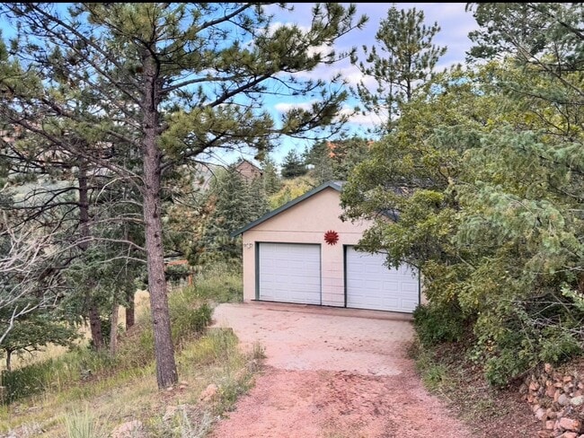 9260 Shoshone Rd in Cascade, CO - Building Photo - Building Photo