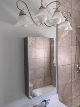 255 Wilcox St, Unit 306 in Joliet, IL - Building Photo - Building Photo