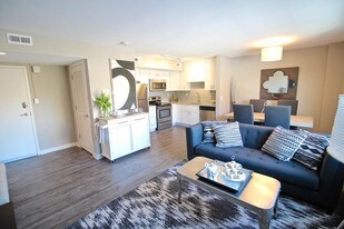 Beautiful Apartments on the Plaza