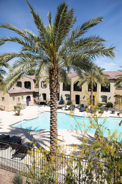 155 N Lakeview Blvd, Unit 226 in Chandler, AZ - Building Photo