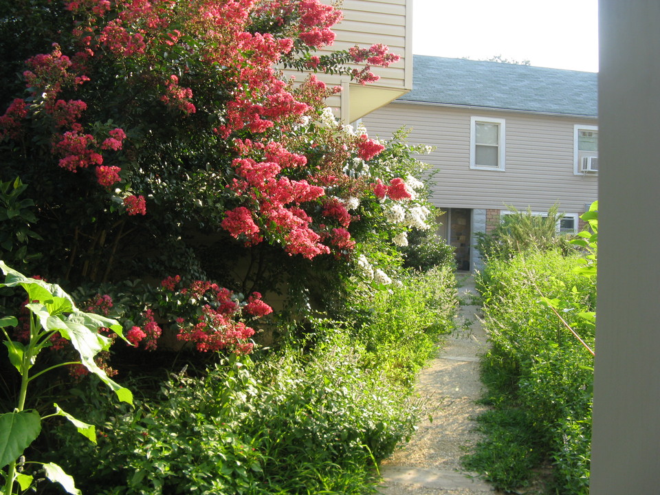 517 Montgomery St, Unit APT.3 in Laurel, MD - Building Photo