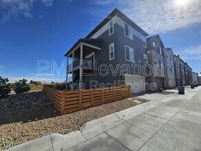 11064 Wind Chime Cir in Parker, CO - Building Photo - Building Photo