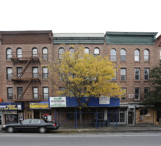 738 Washington Ave in Brooklyn, NY - Building Photo - Building Photo