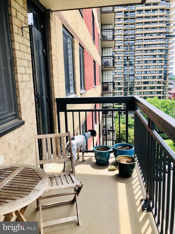 property at 801 N Pitt St