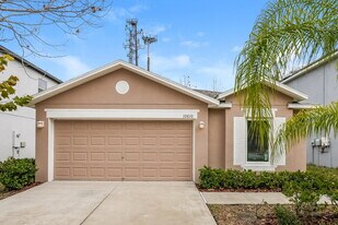 10610 Summer Azure Dr in Riverview, FL - Building Photo