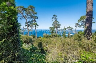 214 Upper Walden Rd in Carmel, CA - Building Photo