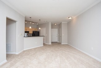 Perimeter Gardens at Georgetown in Dunwoody, GA - Foto de edificio - Interior Photo