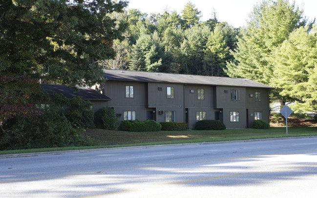 Arden-Town Villas Apartments in Arden, NC - Building Photo - Building Photo