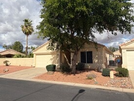 14014 W Santee Way in Surprise, AZ - Building Photo