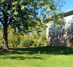 Lakeside at Walnut Hills in Plainfield, IN - Building Photo - Building Photo