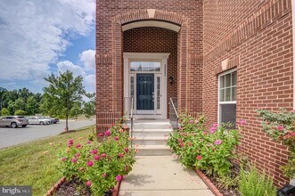 22283 Pinecroft Terrace in Ashburn, VA - Building Photo - Building Photo