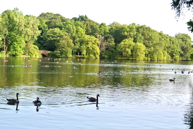 77 Pond Ave in Brookline, MA - Building Photo - Building Photo