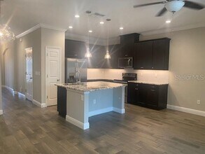 1114 Coral Ln in Dunedin, FL - Building Photo - Building Photo