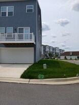 16201 Picasso Aly in Bowie, MD - Building Photo