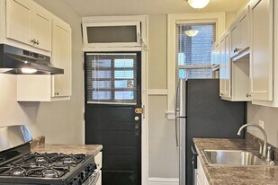 511-521 S. Cuyler Ave. in Oak Park, IL - Building Photo