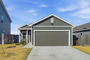 1106 Cattail Ln in Bastrop, TX - Building Photo