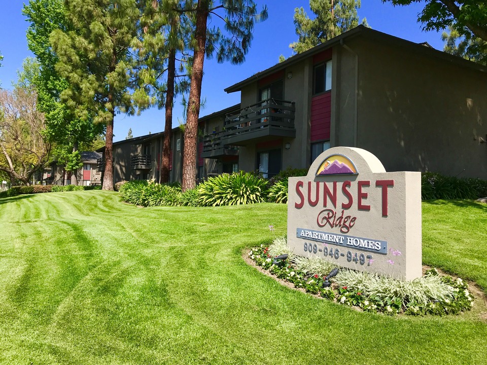 Sunset Ridge Apartments in Upland, CA - Foto de edificio