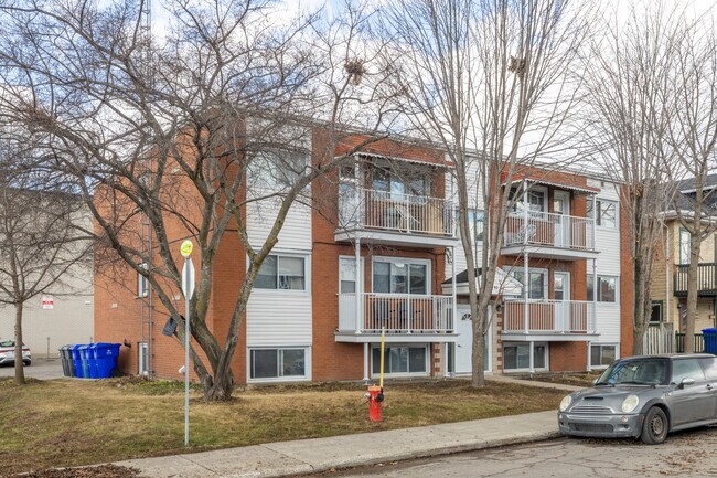 53 Coallier St