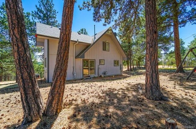 832 Spring Valley Dr in Divide, CO - Building Photo - Building Photo