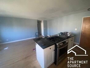 663 W Grace St in Chicago, IL - Building Photo - Building Photo