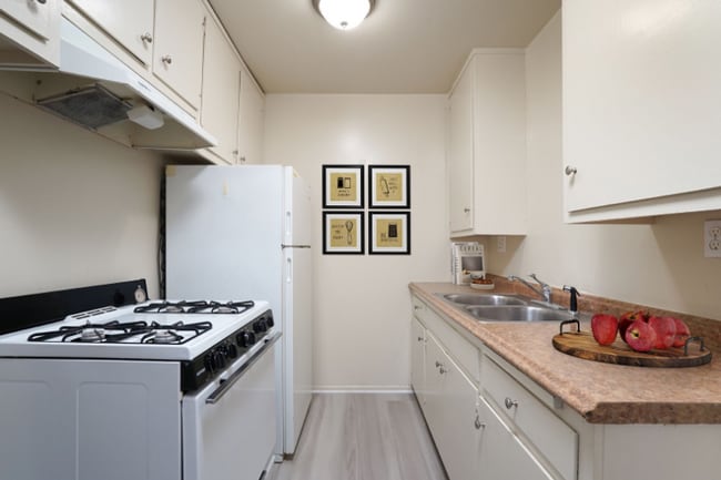 530 N Wilson Ave, Unit 5 in Pasadena, CA - Building Photo - Building Photo