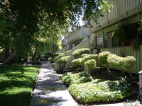 Woodview Apartments in Mountain View, CA - Building Photo - Building Photo