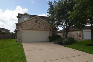915 Butterfly Ln in Rosenberg, TX - Building Photo