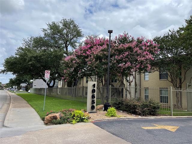 10650 Steppington Dr in Dallas, TX - Building Photo