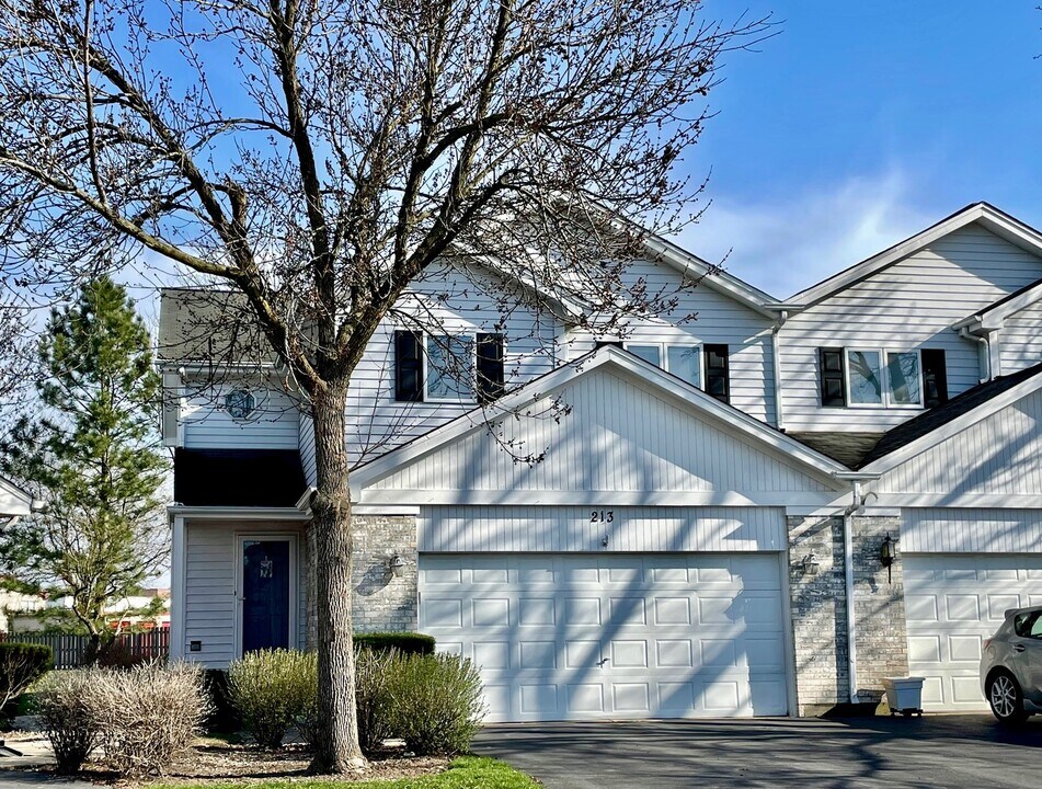 213 Carlisle Ave in Westmont, IL - Building Photo