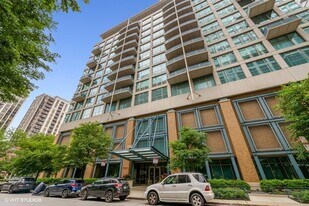 125 E 13th St in Chicago, IL - Building Photo