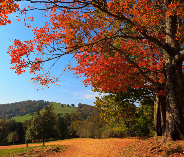 Apartments for rent in Charlottesville, VA