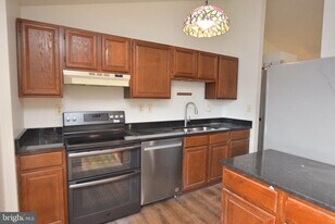 3863 Beech Down Dr in Chantilly, VA - Building Photo