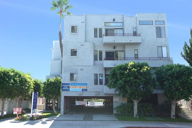 Citronia Luxe Towers Apartments in Northridge, CA - Foto de edificio - Building Photo