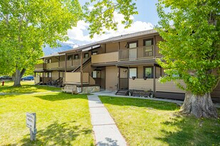 1110 Bow Valley Trl in Canmore, AB - Building Photo