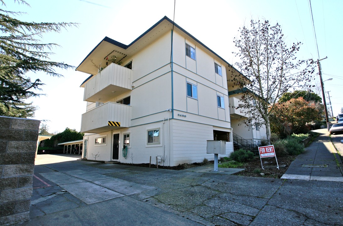 Palm Avenue Apartments in Sebastopol, CA - Foto de edificio