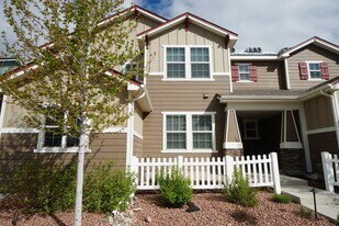 5342 Wild Sage Grove in Colorado Springs, CO - Building Photo