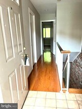 3840 Steppes Ct in Falls Church, VA - Building Photo - Building Photo