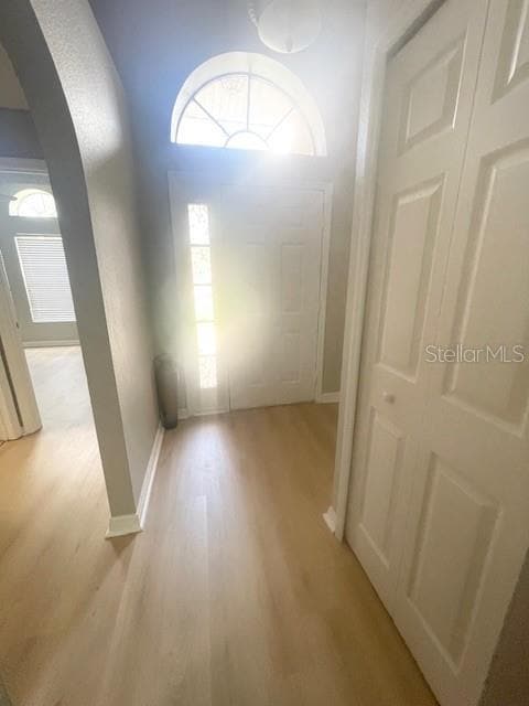 8239 Stockton Way in Tampa, FL - Building Photo - Building Photo