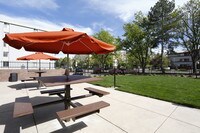 Building Photo - The Rise Apartamentos in Denver, Colorado