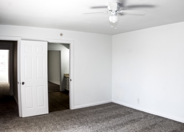 property at 12317 Cedar Springs Ln